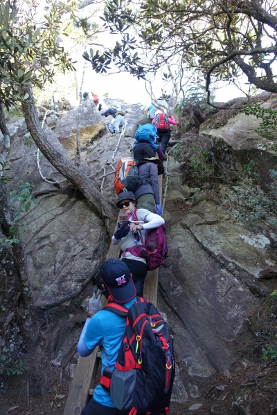 鳶嘴山~稍來~稍來南峰105.12.1077917