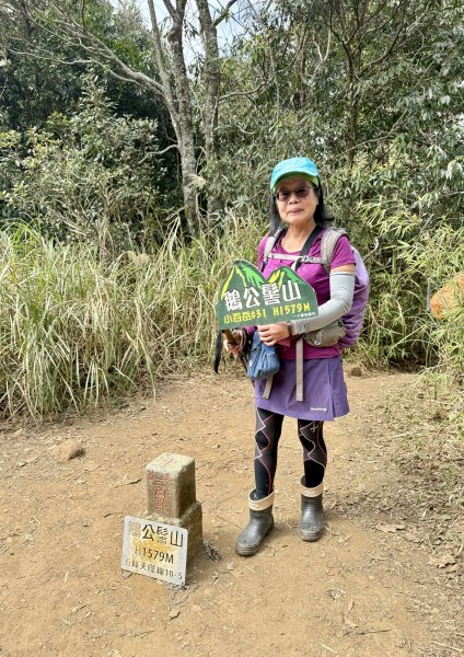 鵝公髻山2724396