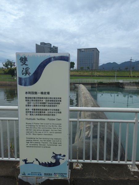 2025.06.14－圓山經基隆河畔到芝山巖2811632