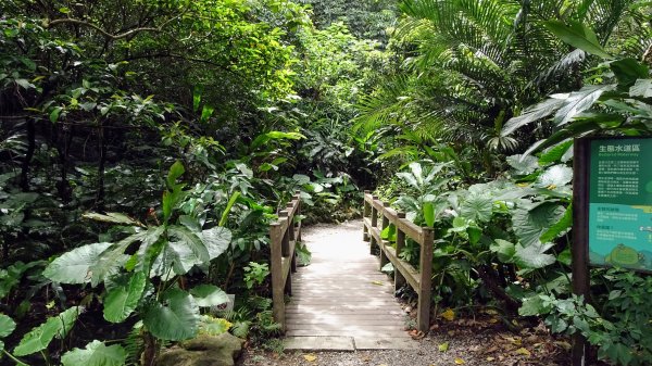 福州山,中埔山,黎和生態公園2234122