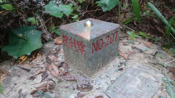 五指山古道O走-友蚋山-新山夢湖178462