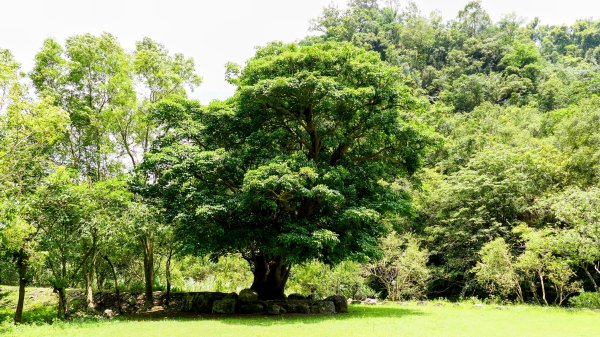 九寮溪自然步道2826871