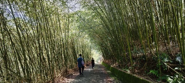 2025/08/30_華山山豬湖步道2876438
