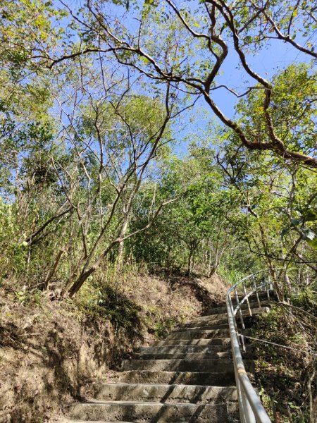 2023.12.24 旗尾山2838048