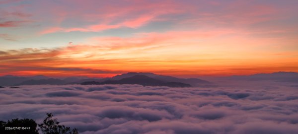 #石碇後山 #霞光 #日出 #雲海 #火燒雲 #魔目裳蛾 7/1&33080441