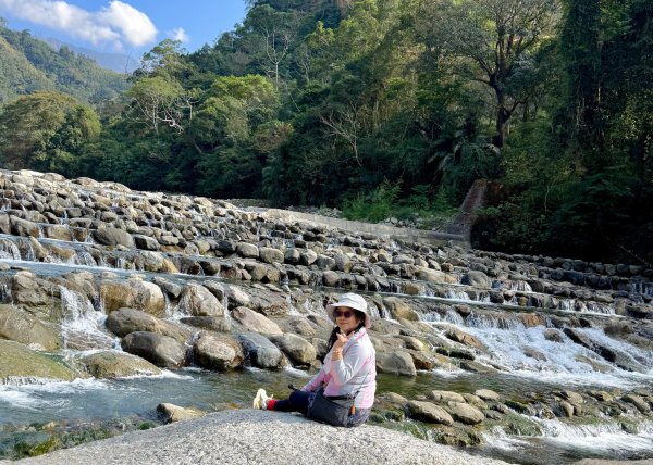 雪山坑登山步道尋巨人2978275