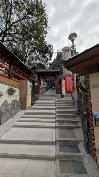 波津加山步道3021247