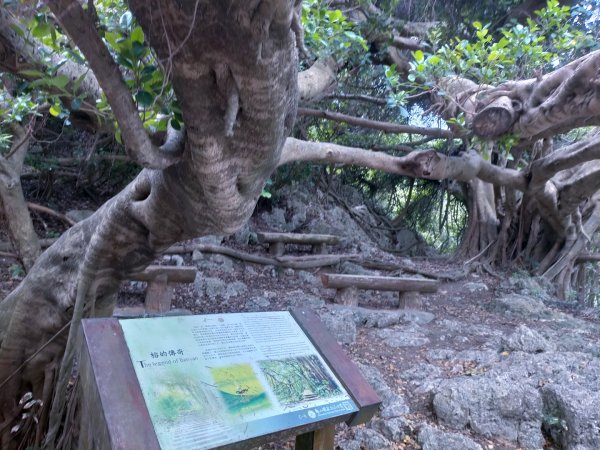 北柴山秘境之旅2754387