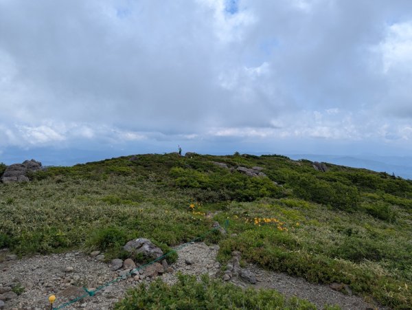 20260703 秋田森吉山3081918