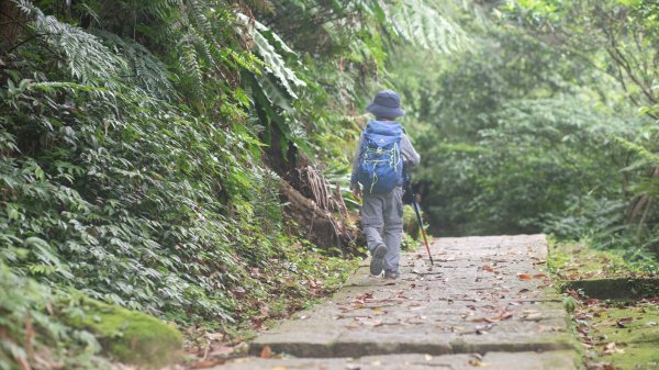 台北大縱走第六段：中華科技大學-捷運麟光站（生態豐富的自然教室）1686130