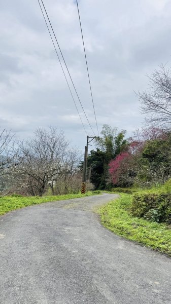 20260204小百岳初音山2994916