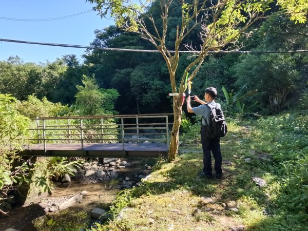 雙溪區內盤山坑古道+石硿子越嶺古道+盤山坑古道+過火坪古道O型2914356
