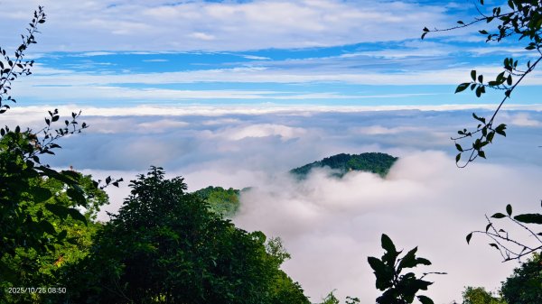 #馬那邦山 #琉璃光 #日出 #雲海 #山羌 #楓葉 10/25 & 11/12924621