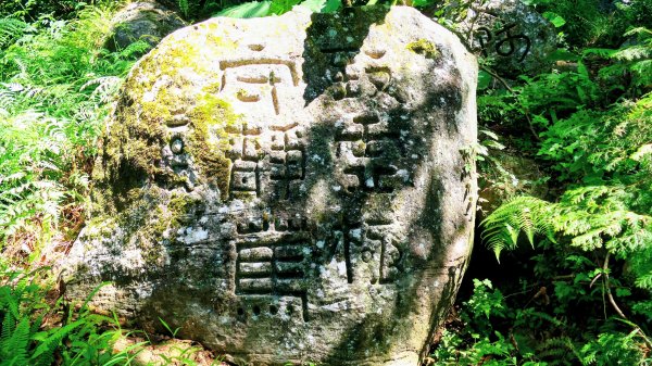 陽明山16草原之西線8草原2904067