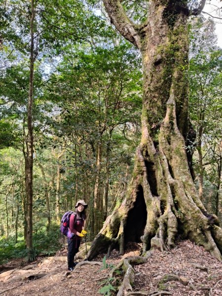 高島縱走202502152713803