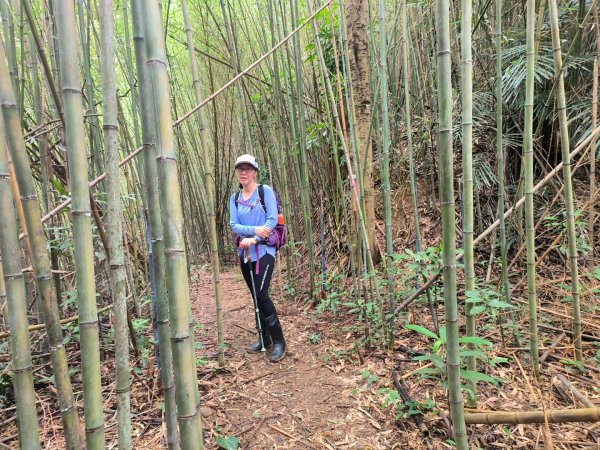 1130608 倒別牛山O繞飛鳳山2524081