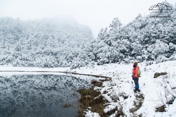 【攝野紀】夢幻般的雪中松蘿湖264540