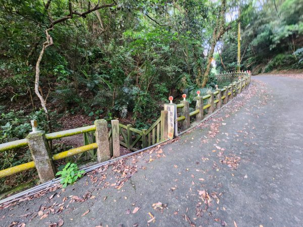 20240721泰安登山步道登七塊山2599954