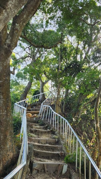 【田中】田中森林步道連走麒麟山2722581