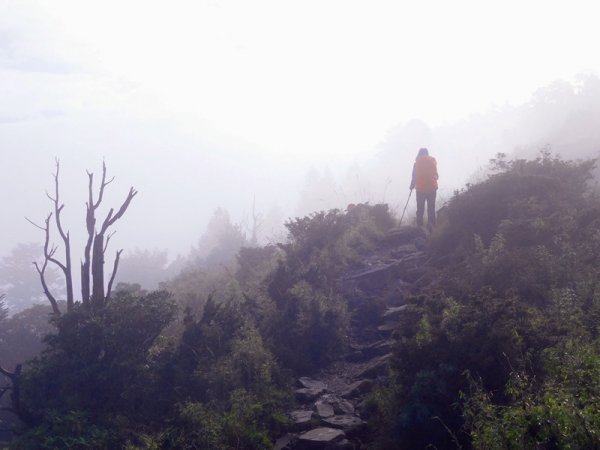 國慶日走雪主東464530