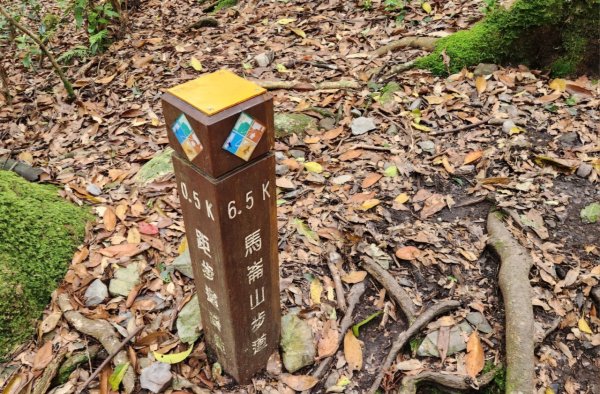 【中級山】五星級步道，谷關七雄馬崙山（八壯士進，斯可巴出）2744963