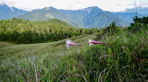 閂山之門.鈴鳴之鑰660269