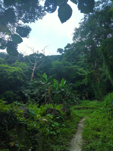 2024.07.06－鳶山健行(螢火蟲小吃登山口)2544853