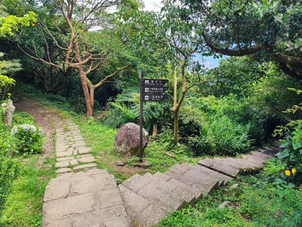 牛寮埔登山步道 - 2023觀音觀鷹尋寶任務2251337