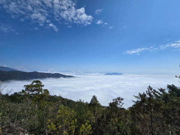 蝶夢八唐（裡冷登山口往返）八仙山出雲海下山順賞富士櫻2722724