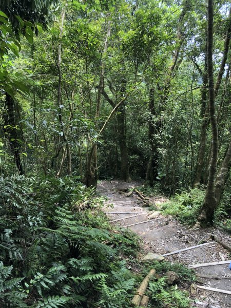 【宜蘭礁溪】抹茶山~超消暑聖母登山步道640604