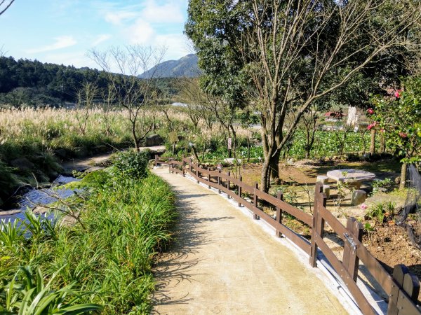 臺北大縱走第二段：小油坑-大屯山-清天宮799999