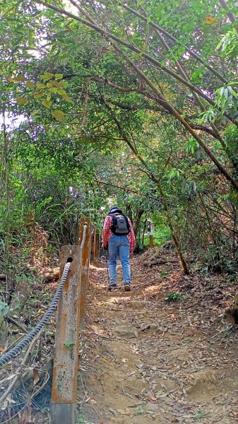 【苗栗-臺灣百大必訪步道】泰雅族抗日的馬那邦山登山步道1347689