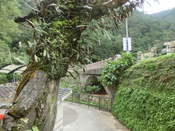 二格山（草湳Ｏ型）93177