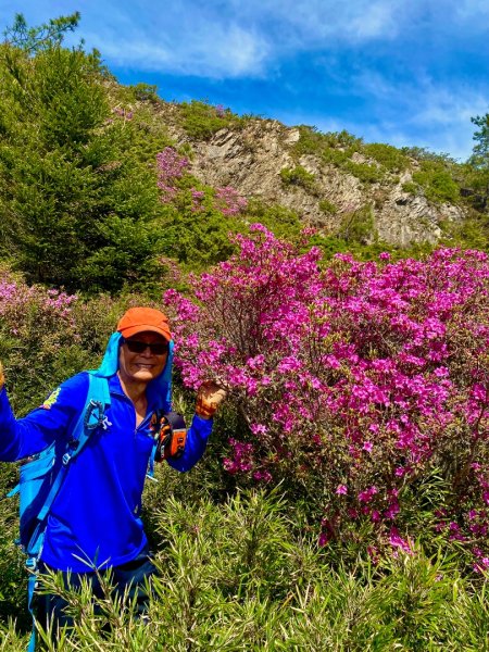 合歡山七連峰的空中花園賞花趣