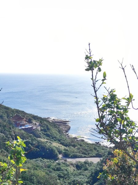 龍洞灣岬步道-蚊子坑山-北勢坑古道2981936