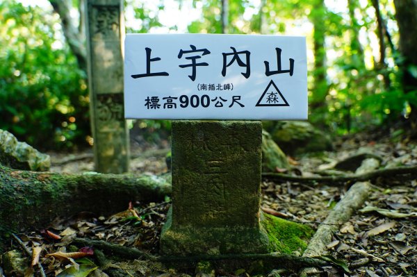 桃園 復興 上宇內山、南插天山