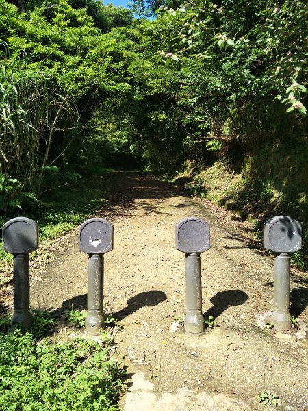 獅仔頭山登山步道1707617