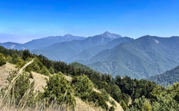 戀愛般的甘酸甜⋯ 閂山．鈴鳴山1342329