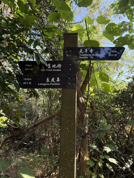 20251115壽山步道(元亨寺免費停車啟登)2938470