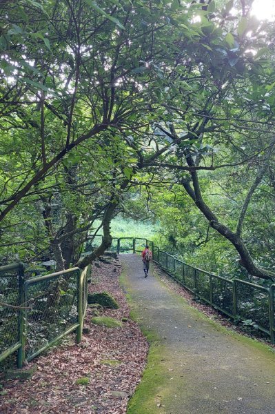 聖人瀑布➡️聖人崙➡️雙溪山+梅花五弄➡️帕米爾公園➡️聖人橋O型2797029