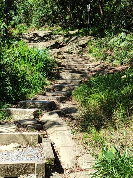 微笑山線：【天上山系】烘爐地土地公段2895745