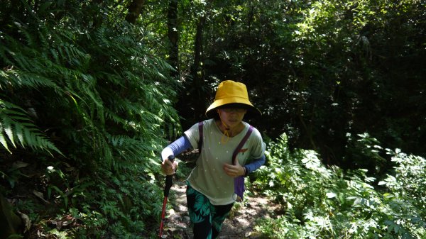 石空古道登山健行趣(淡蘭中路TK2-19)1521217