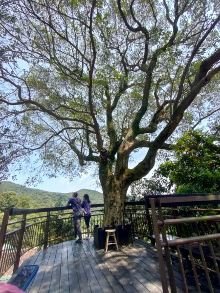 ［2023 台北大縱走第四段］（大湖捷運~楓櫃嘴）2189131