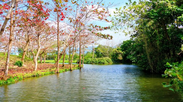 豐之谷,理想大地,林田山,立川漁場3007266