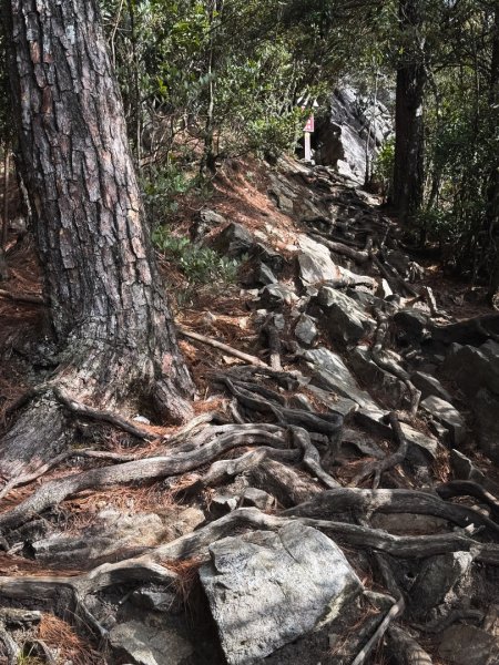 鳶嘴山上的瘦稜2983876