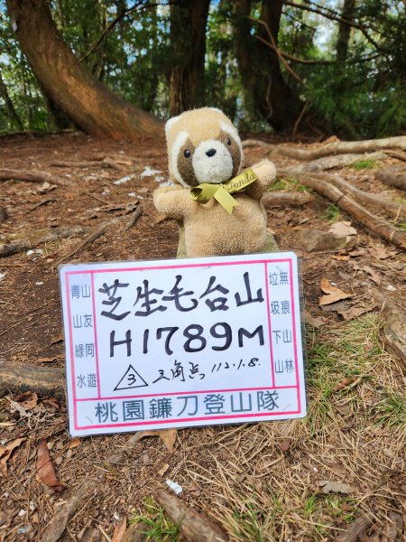 112/2/11芝生毛台山、屯野生炮台2148119
