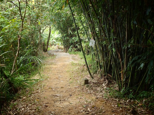 [淡蘭古道] 2026_0523 南路第一段_土地公嶺古道3069447
