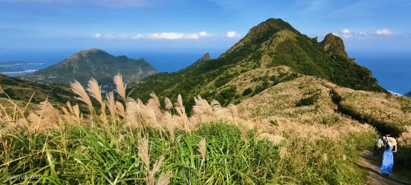 #半屏山 #芒花 11/262946028