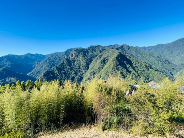 1140825司馬庫斯新巨木園區-司立富瀑布-部落觀景台2871143