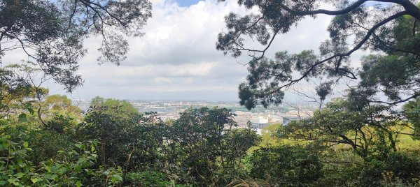 五酒桶山步道2789552